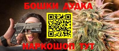 Альфа ПВП Обь