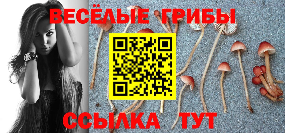 Галлюциногенные грибы ЛСД  купить закладку  Галлюциногенные грибы Magic Shrooms  Туапсе  Вход с VPN 