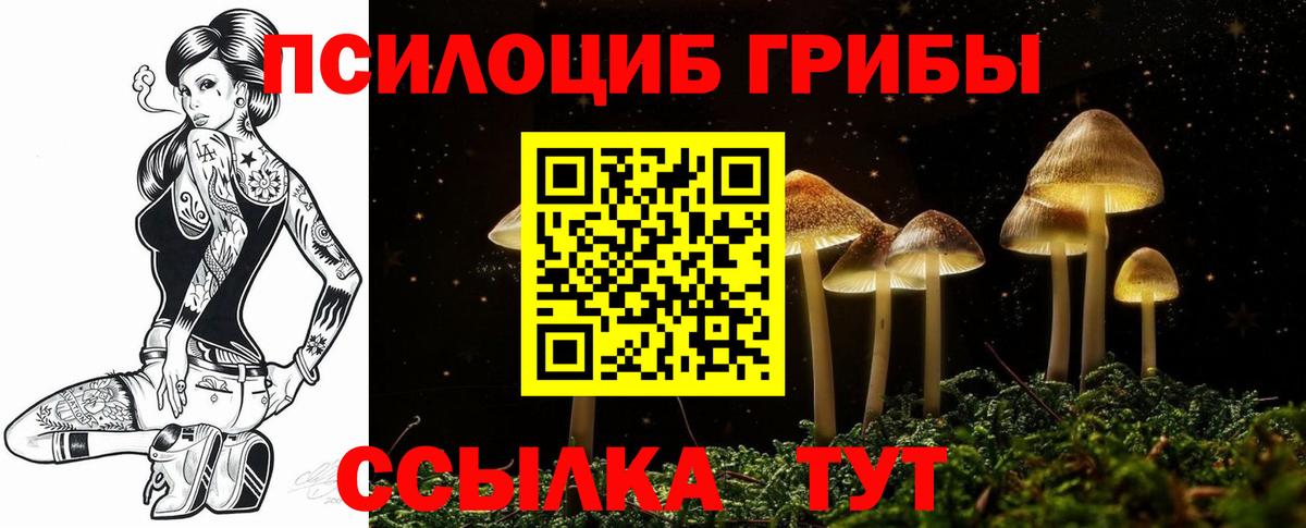 Галлюциногенные грибы GOLDEN TEACHER Туапсе